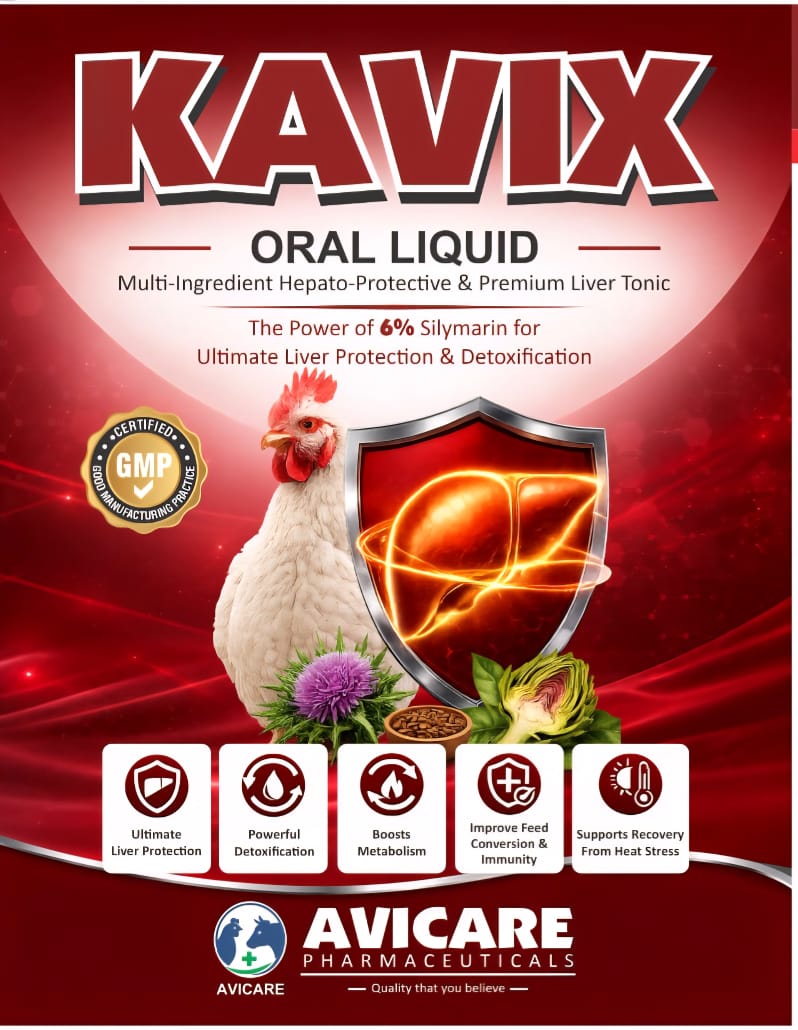 KAVIX Oral Liquid